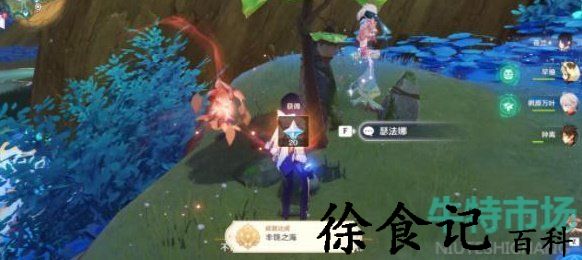 《原神》3.6版本全部净觉花位置介绍