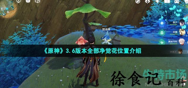 《原神》3.6版本全部净觉花位置介绍