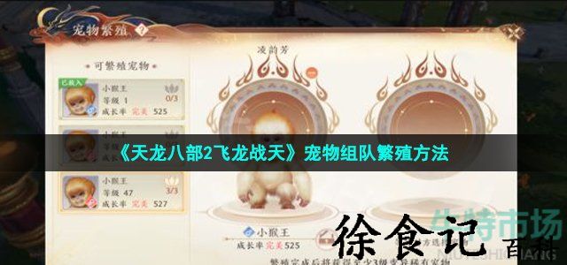 《天龙八部2飞龙战天》宠物组队繁殖方法