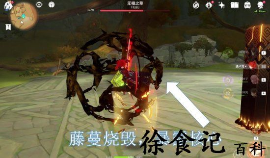 《原神》无相之草隐藏战斗成就汇总