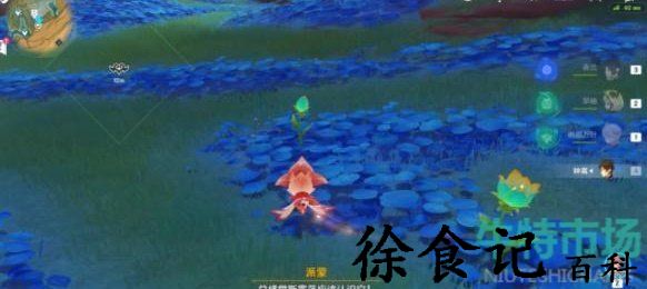 《原神》3.6版本全部净觉花位置介绍