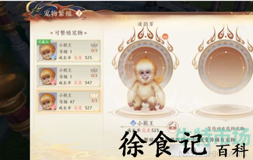 《天龙八部2飞龙战天》宠物组队繁殖方法