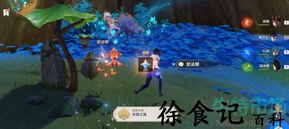 《原神》3.6版本丰饶之海净觉花任务达成攻略