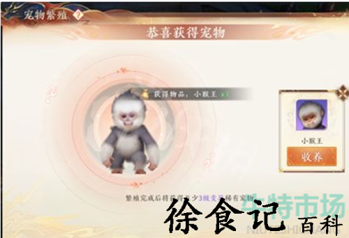 《天龙八部2飞龙战天》宠物组队繁殖方法