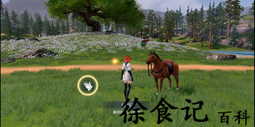 黎明之海坐骑怎么获得-黎明之海坐骑获得方法