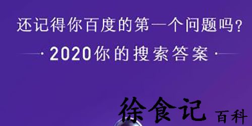 你的2020搜索账单是什么意思-你的2020搜索账单出处介绍