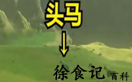 塞尔达传说王国之泪445马在哪捕捉