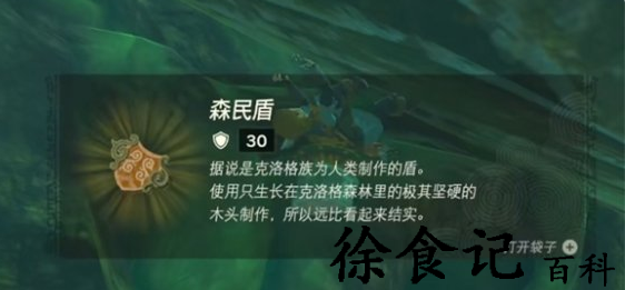 塞尔达传说王国之泪森林之盾在哪获得